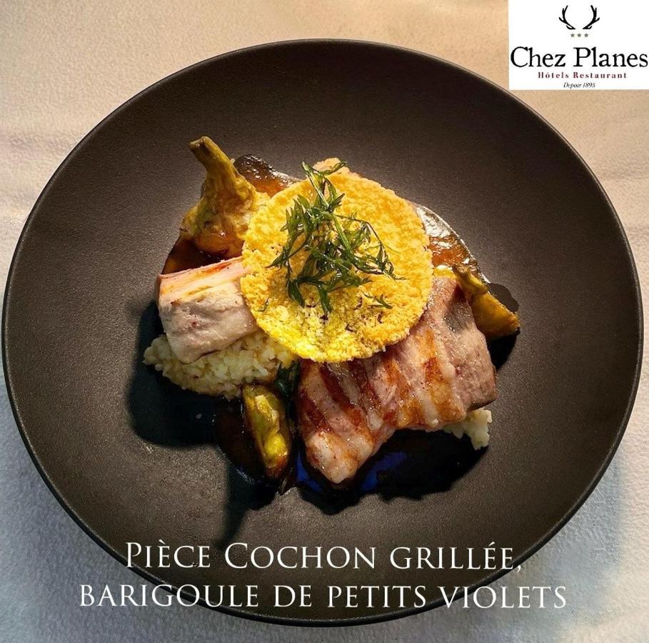 Logis Hotel Restaurant Planes ซายญากูส ภายนอก รูปภาพ